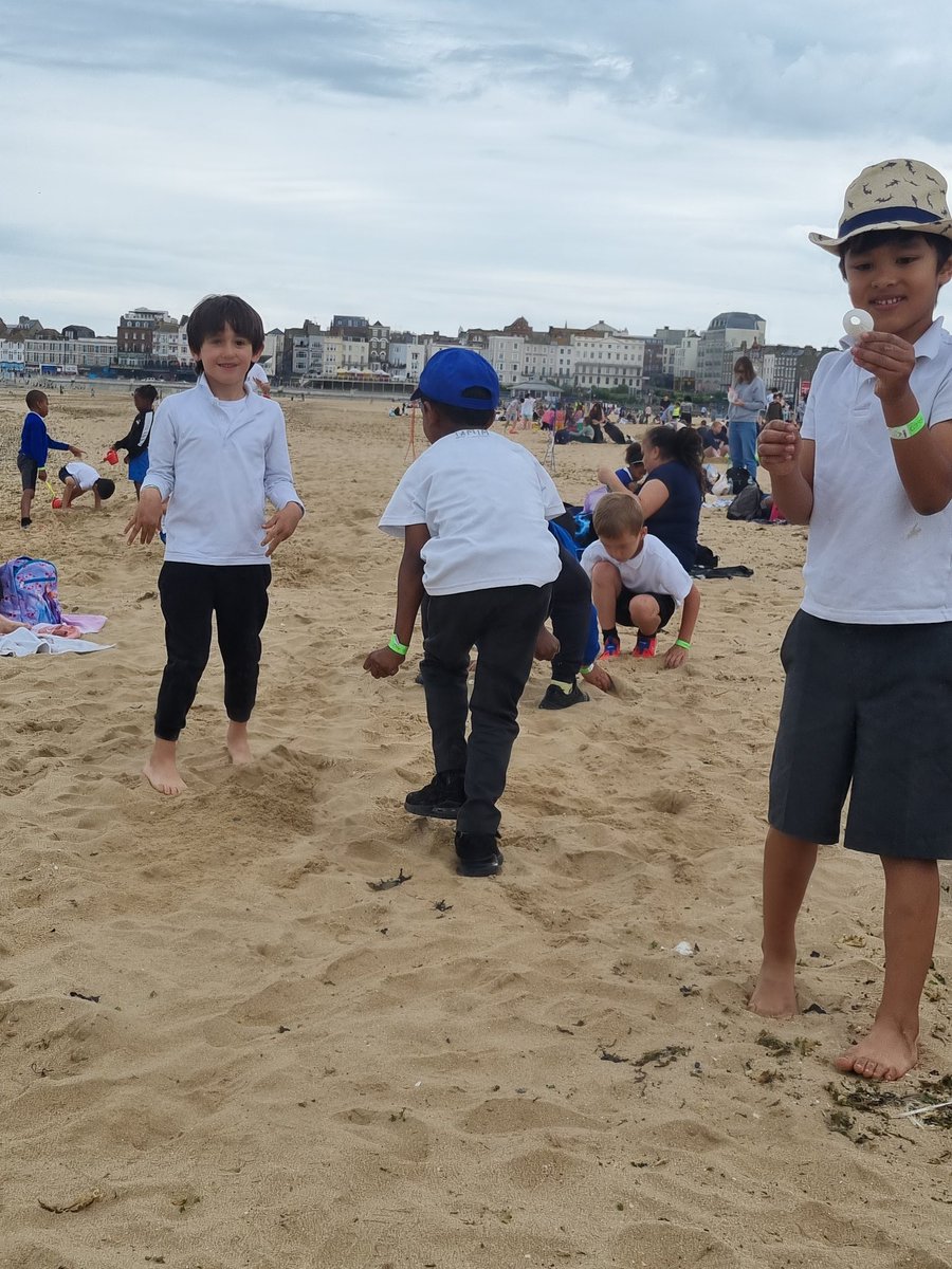 Foxfield Year 1 Pine tweet media