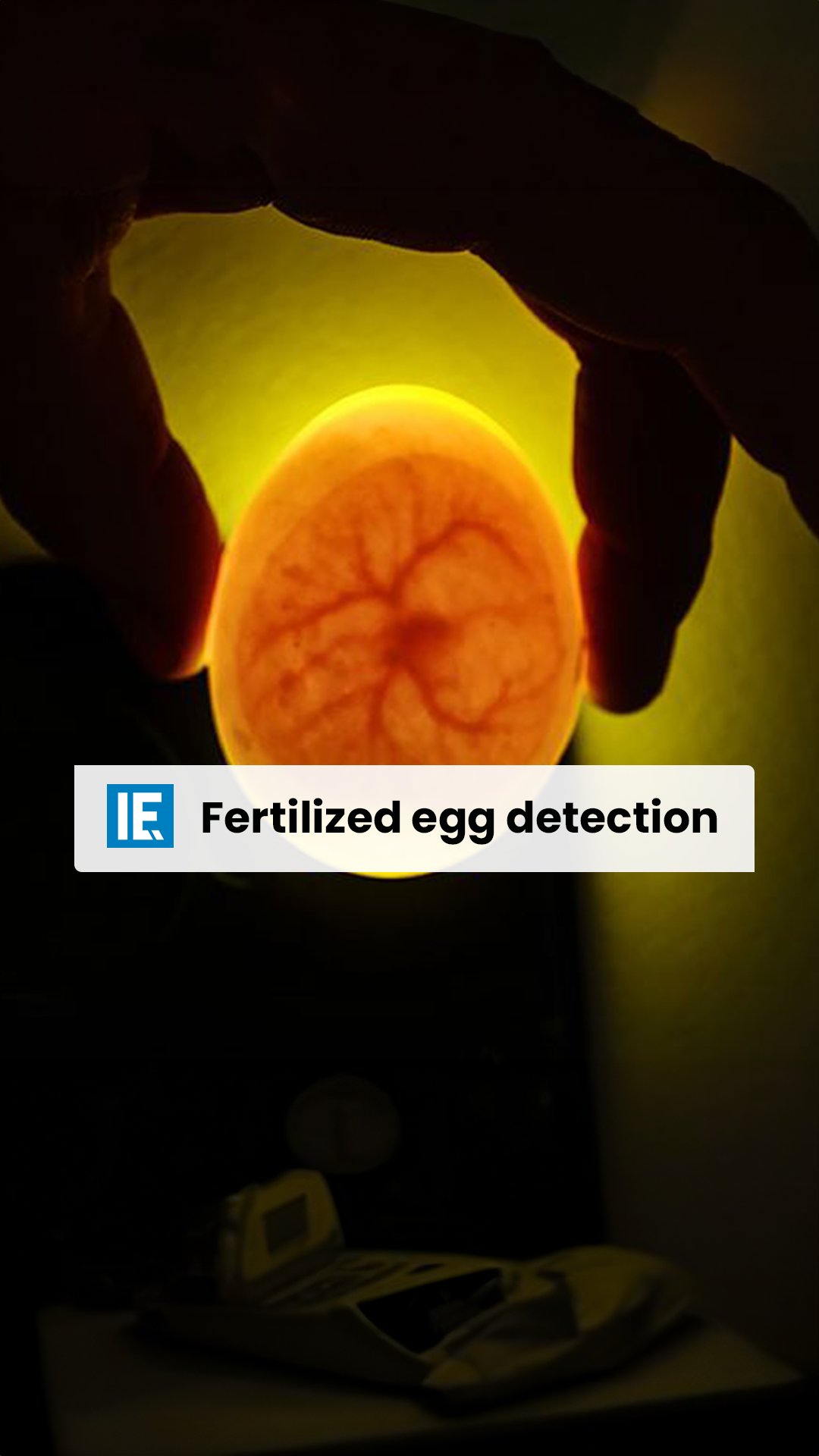 Interesting Engineering on Twitter "The fascinating process of separating fertilized and