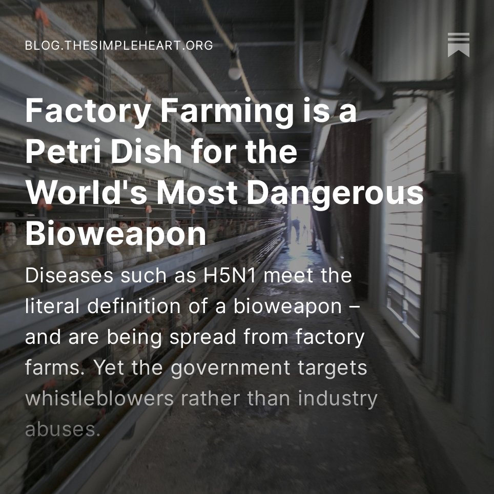 waynehhsiung's tweet photo. Factory farming meets the literal definition of a bioweapon, &amp; it is being unleashed on an unknowing public. On Sept 8, we go on trial for exposing this existential threat.
https://t.co/lhSwcPH8BY https://t.co/xmqXP9sWYt