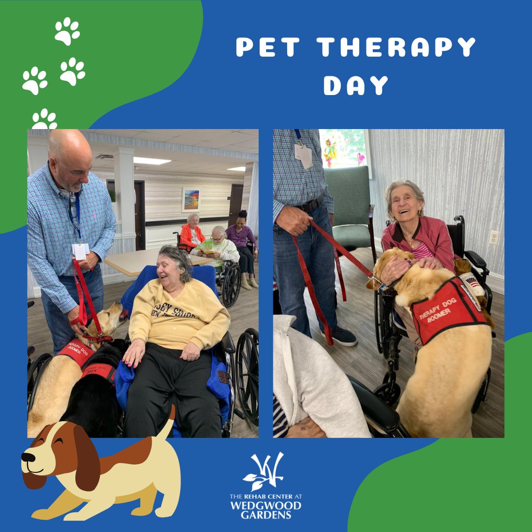 Pet therapy day is all about embracing the healing power of pet therapy and celebrating the incredible bond between humans and animals! From wagging tails to comforting purrs, our furry friends bring joy, comfort, and healing to our lives. 

#PetTherapyDay #HealingPaws