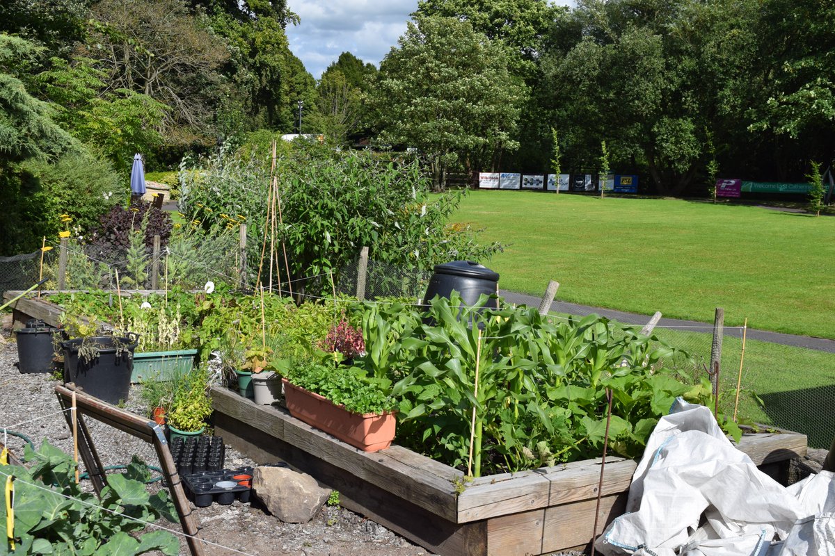 St Catherine's Hospice Lancashire tweet media