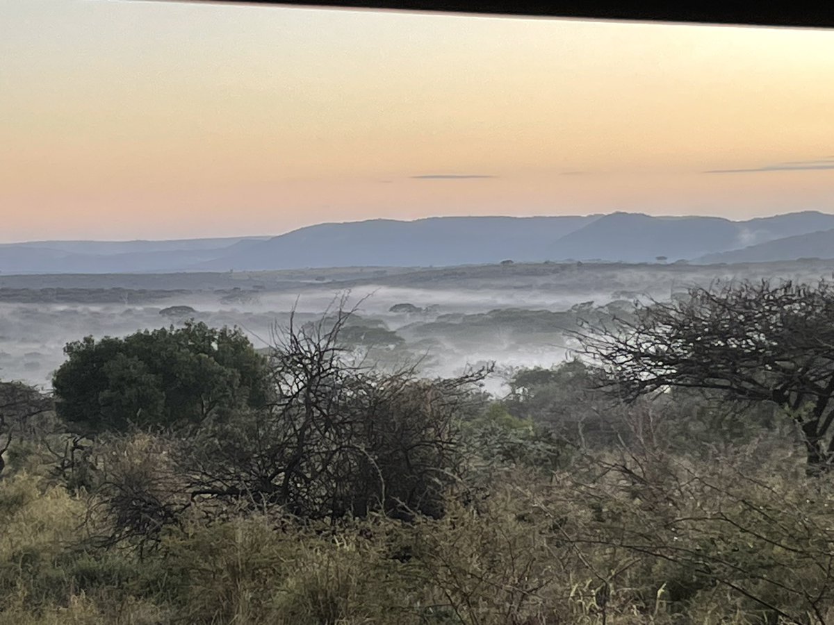derwood73's tweet photo. Breathtaking sunset last night followed by an amazing sunrise this morning at @ZuluNyala in #SouthAfrica with @telluridenative. #AfricanSafari #MuchNeededHoliday https://t.co/yIGe0QO5Pw