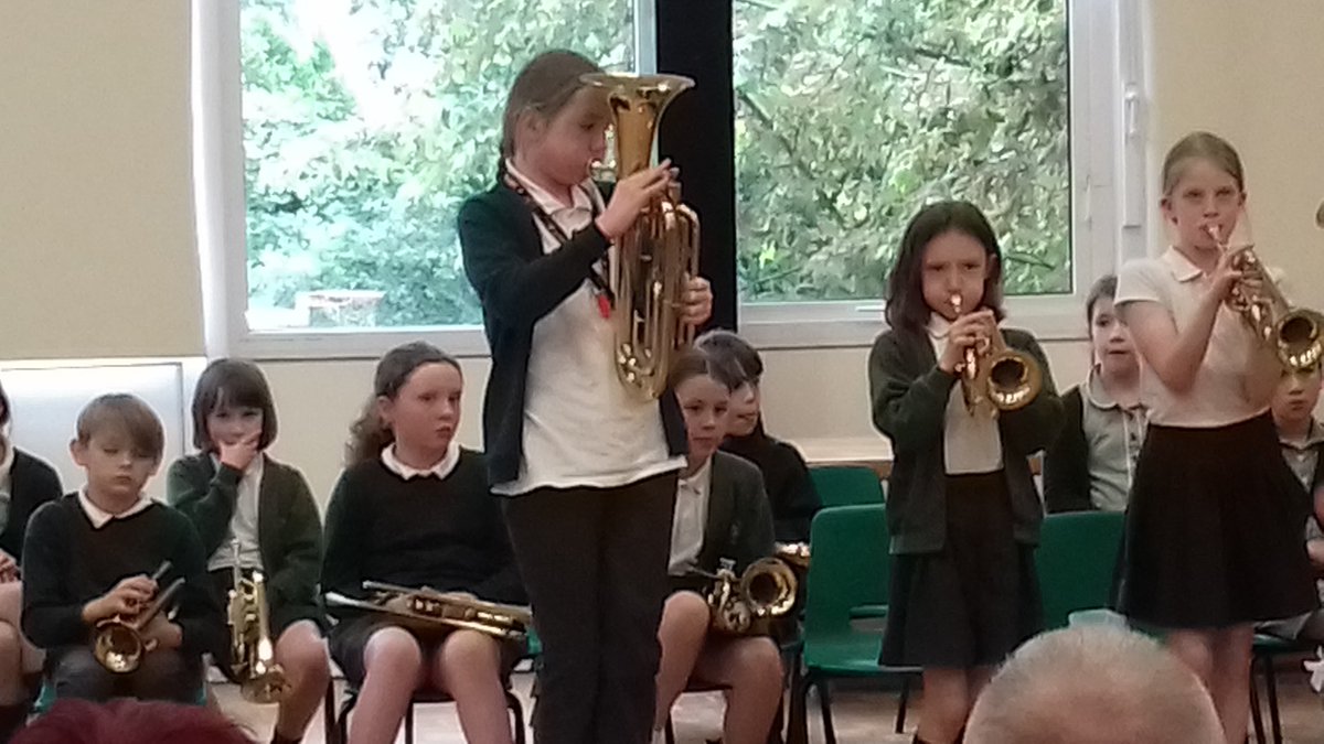 Stubbins Primary tweet media