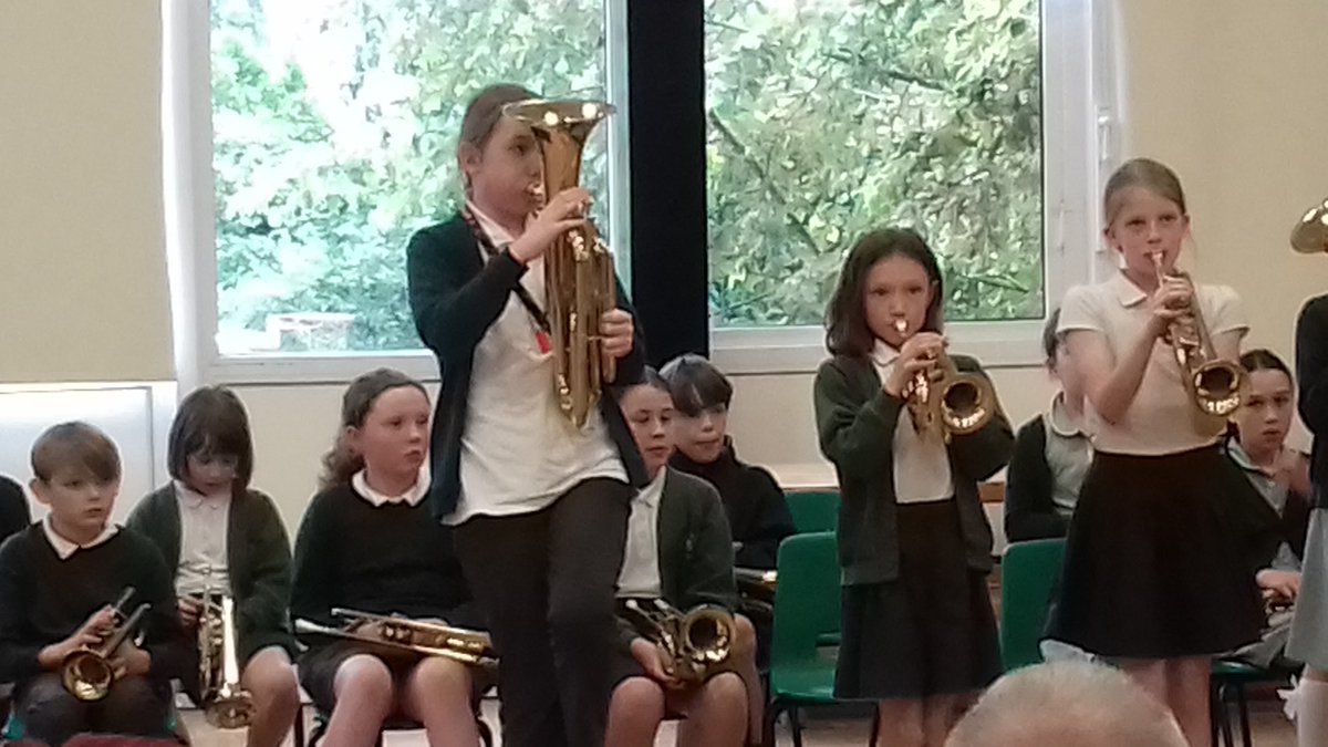 Stubbins Primary tweet media