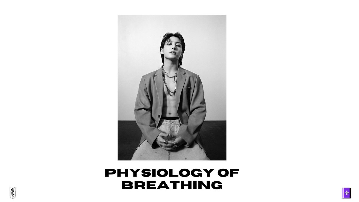 armymedunion's tweet photo. Well, ARMY, there has certainly been a lot of gasping and heavy breathing since last night :) SO, #BAMU #MedAcad is here to to help you learn about some breathing physiology!
#Jungkook #SEVENbyJUNGKOOK https://t.co/tXMMBfcJ4E
