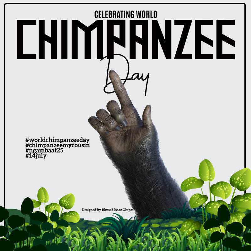 dero911's tweet photo. Happy world chimpanzee day #chimpanzeemycousin #98.7% https://t.co/VxcaCEzjsd