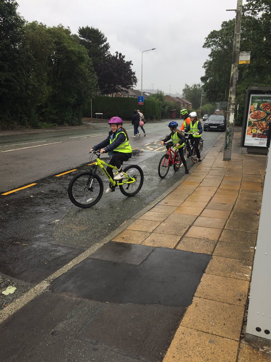 Stubbins Primary tweet media