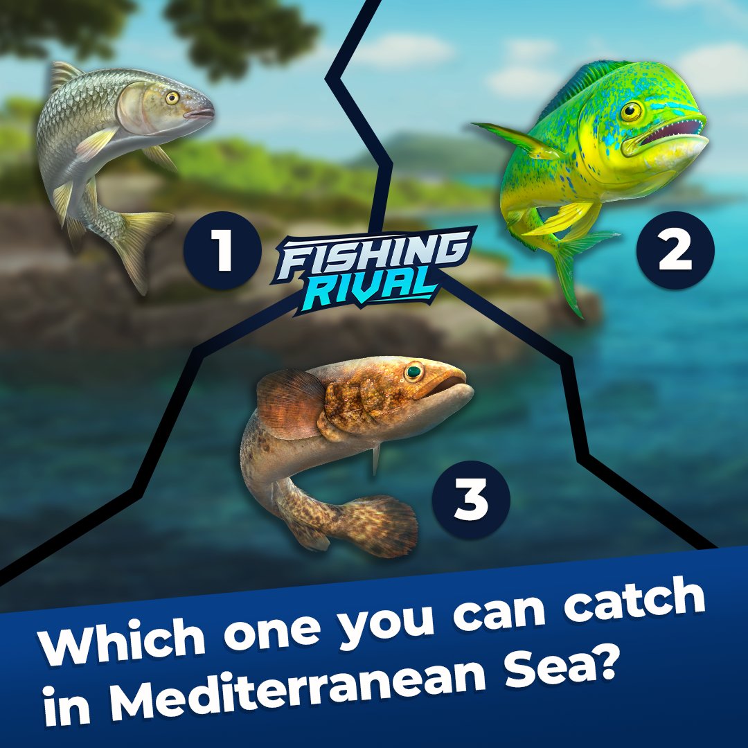 fishing_rival's tweet photo. Write your answer in comments 🔽 https://t.co/Av6v2nTcCX