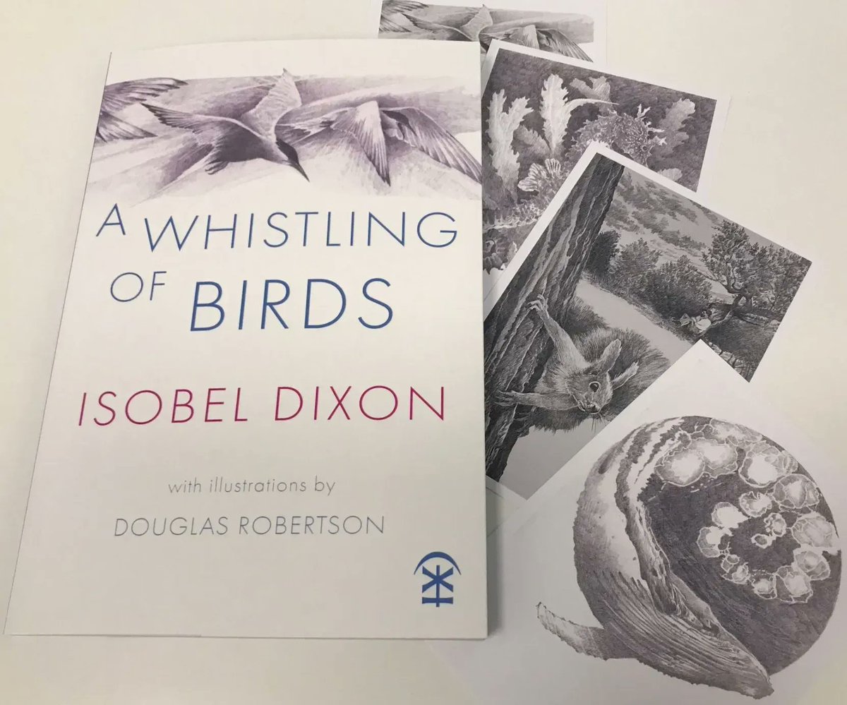 There are still some postcard sets available now to readers who order A Whistling of Birds by @isobeldixon direct from us. With illustrations from the book by @thenetmender Free UK shipping ends at end of July! buff.ly/44oJ5LZ