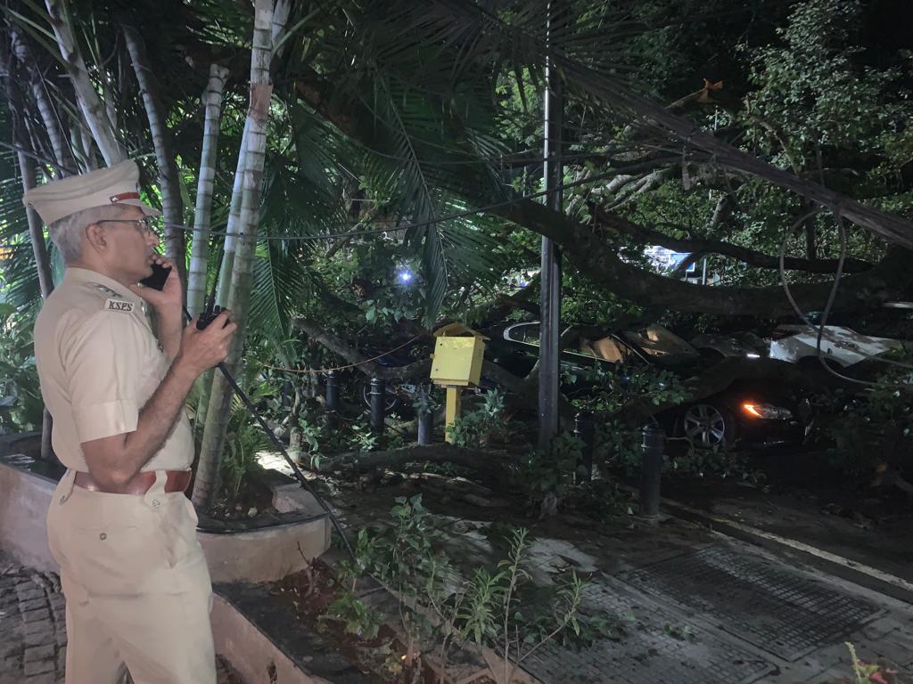 A big tree has fallen at Chandrika Hotel junction. Traffic has been diverted at Balekundri junction and Kalpana circle. Kindly cooperate.