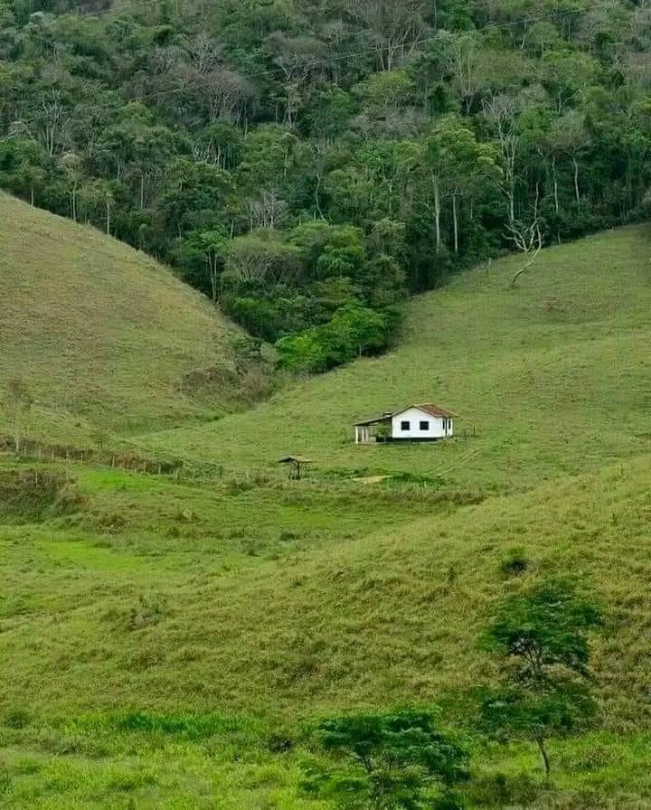 Does this enhance your mental health in terms of peace or deteriorate as isolation kicks in?
#twasssistcounsellingcenter
#peaceofmind
#therapy 
#nature