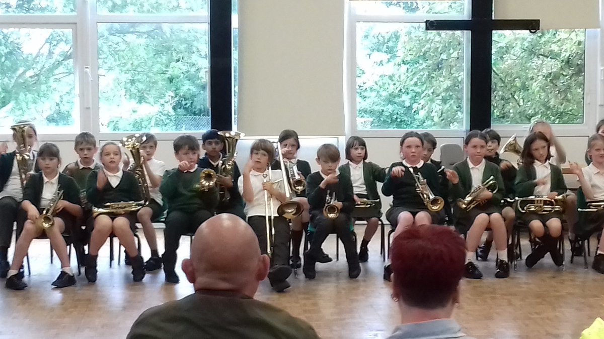 Stubbins Primary tweet media