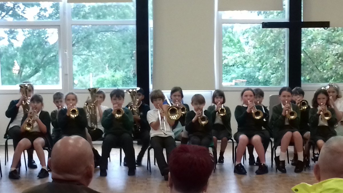 Stubbins Primary tweet media