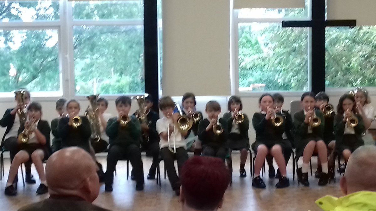 Stubbins Primary tweet media