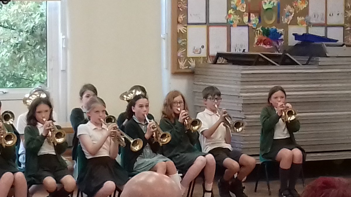 Stubbins Primary tweet media