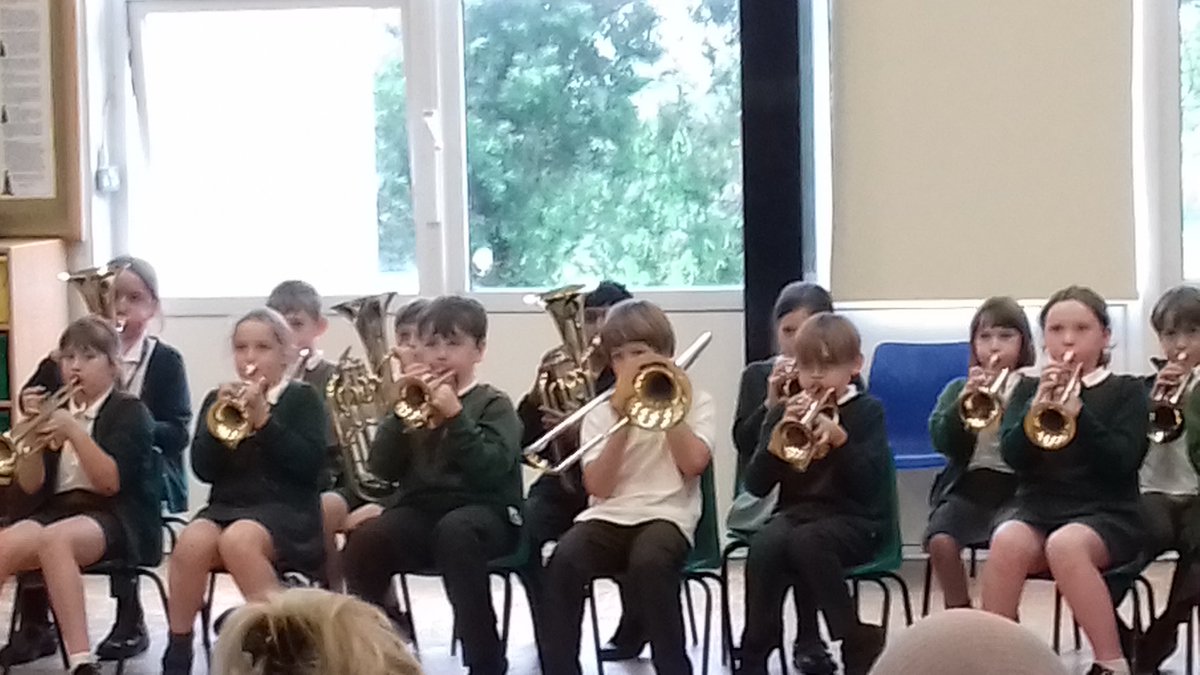 Stubbins Primary tweet media