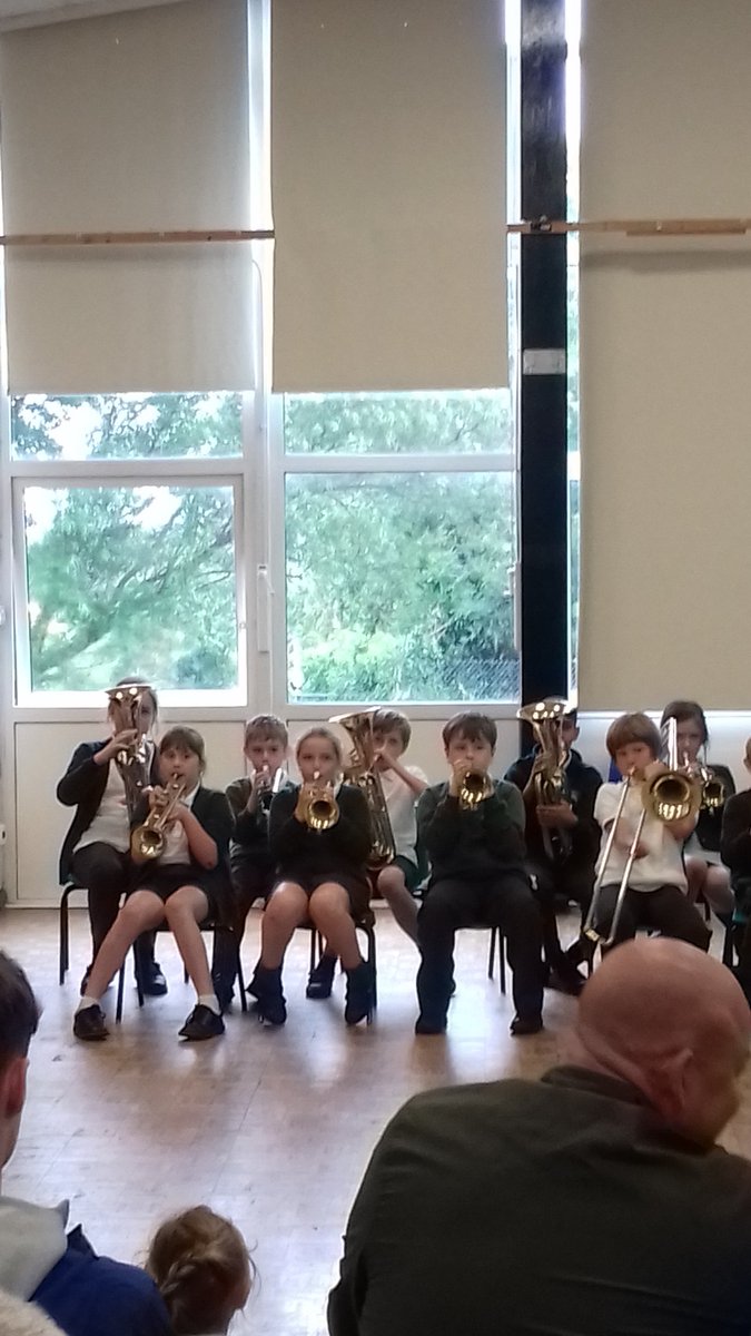 Stubbins Primary tweet media