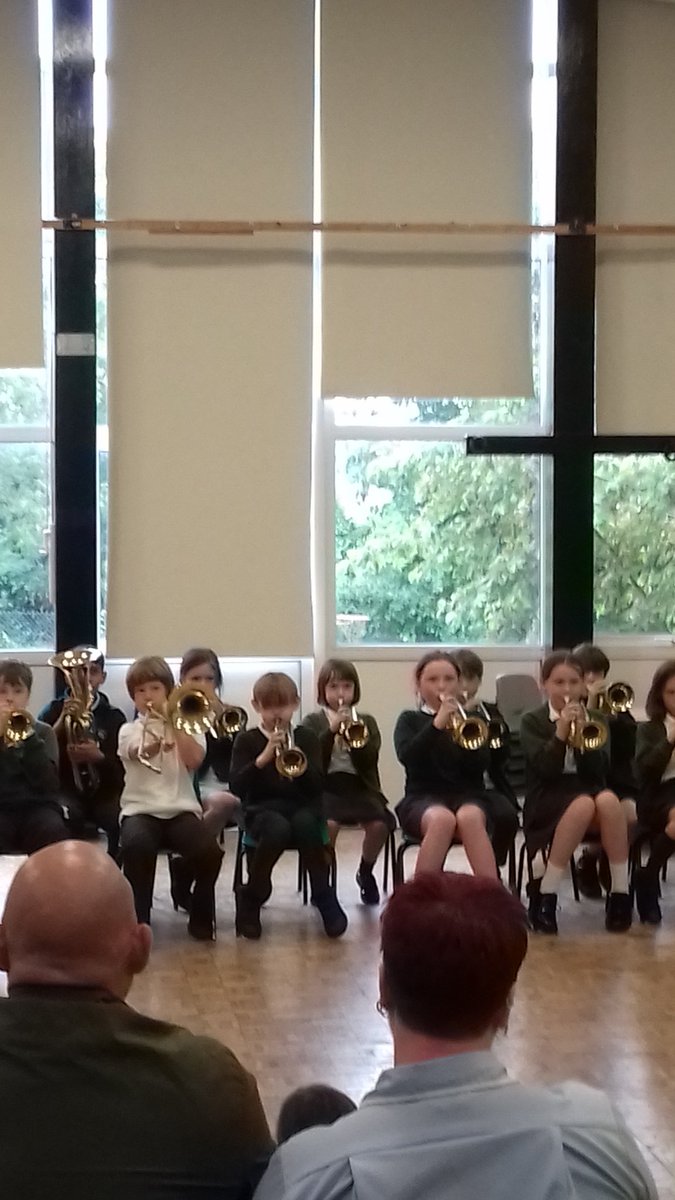 Stubbins Primary tweet media