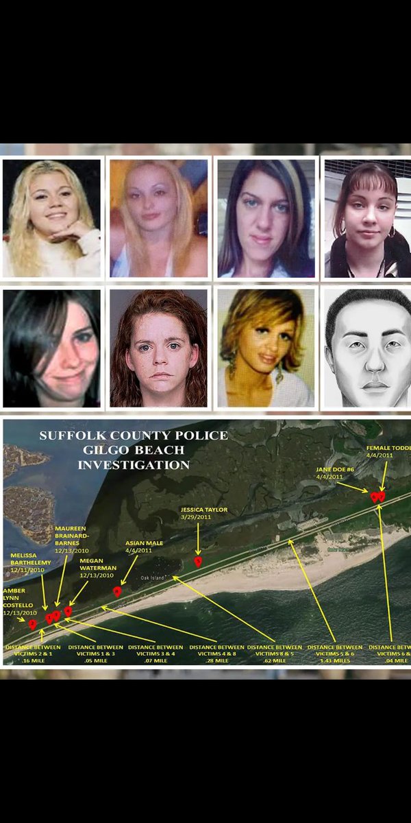 news_whore2's tweet photo. A suspected Long Island serial killer has been arrested over the notorious Gilgo Beach murders in Long Island. Rex Heuermann, 59, a married architect at a New York City firm, was arrested at his home on 1st Avenue in Massapequa Park. https://t.co/2vXT9NfCkv