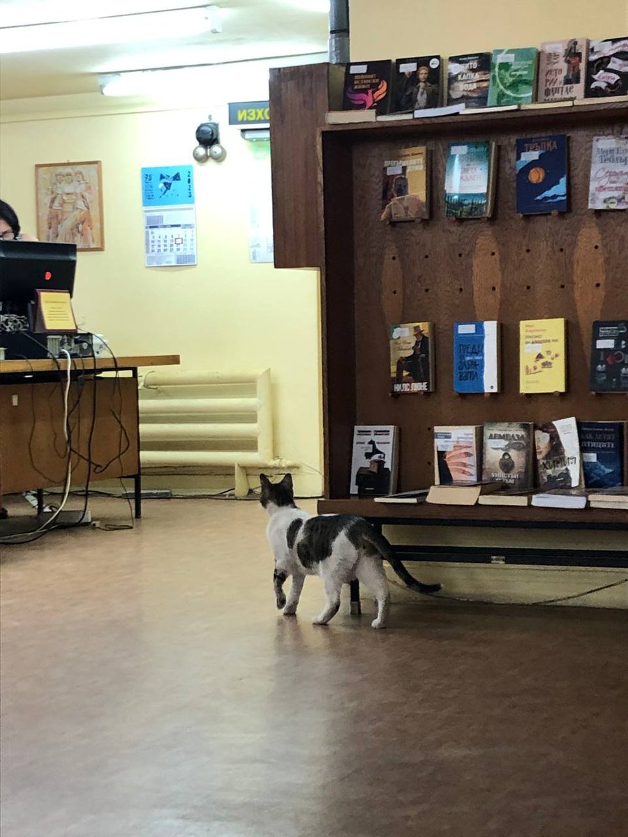 А вие знаехте ли, че <a href="/PlovdivLibrary/">Plovdiv Public Library</a> си има котка? 🐱