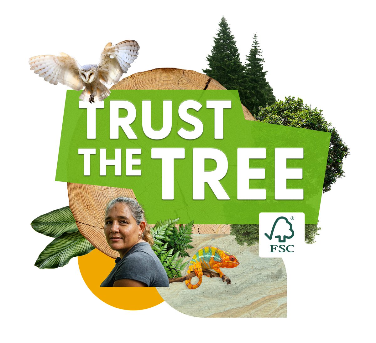 FSC_Africa's tweet image. Marquez votre agenda: Semaine des forêts FSC 2023
La Semaine des forêts @FSC_IC  2023 se tiendra du 23 au 29 septembre 2023, offrant une plateforme unique pour présenter vos engagements en matière de développement durable.
#TrustTheTree #ChooseFSC
africa.fsc.org/fr-cd/newsfeed…