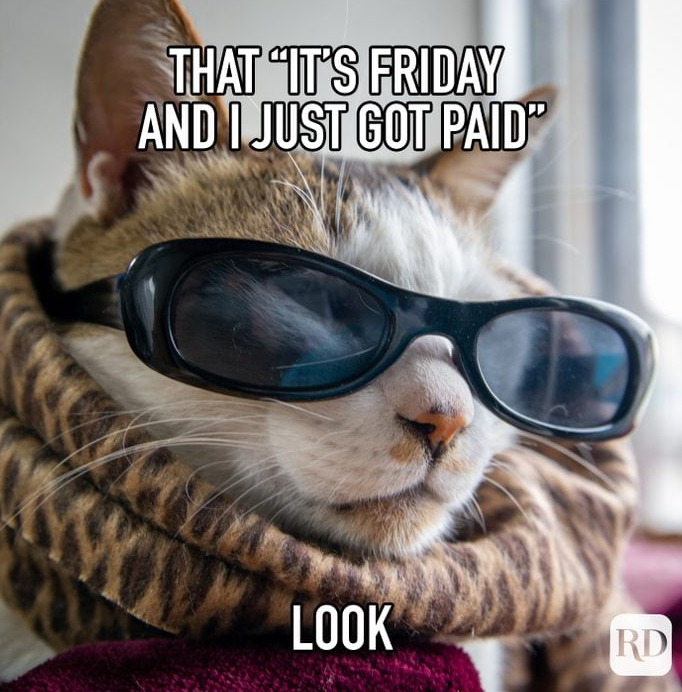 DPCTechSupport's tweet image. No caption needed! #Happyfriday