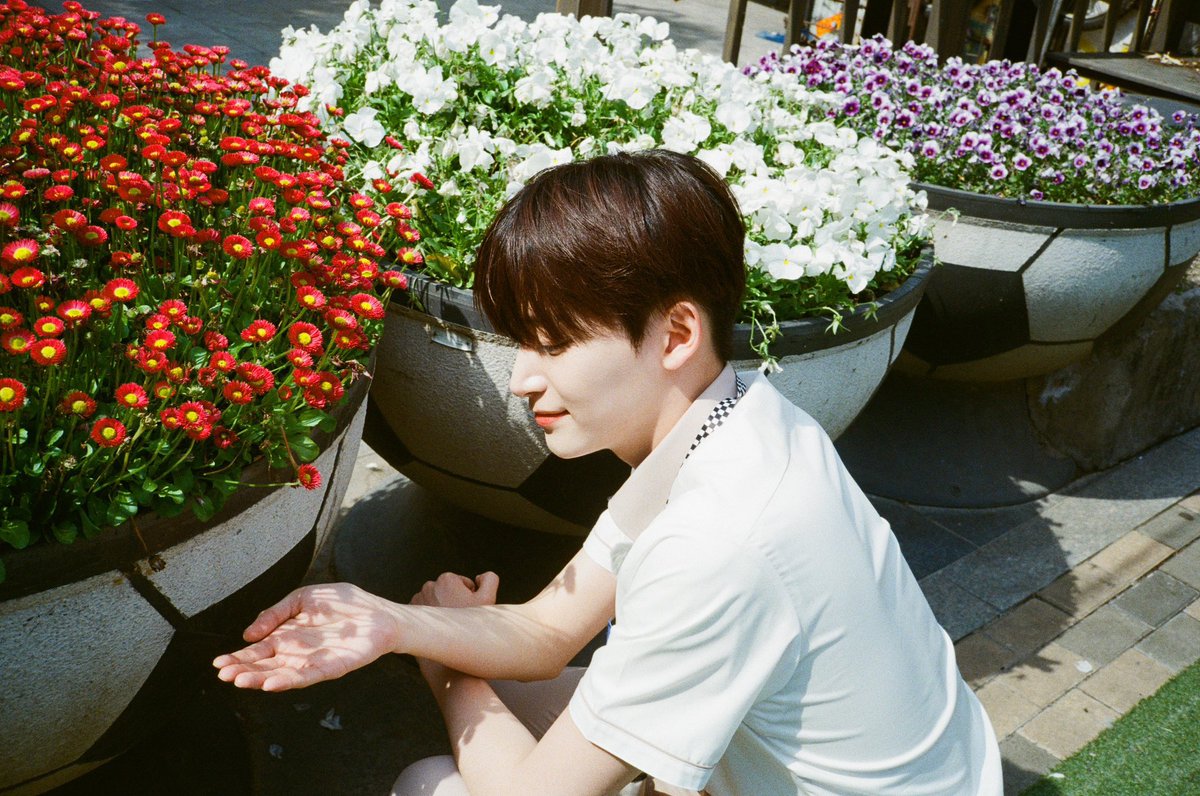 자연광 필카 에반데요 ㅜㅜ..