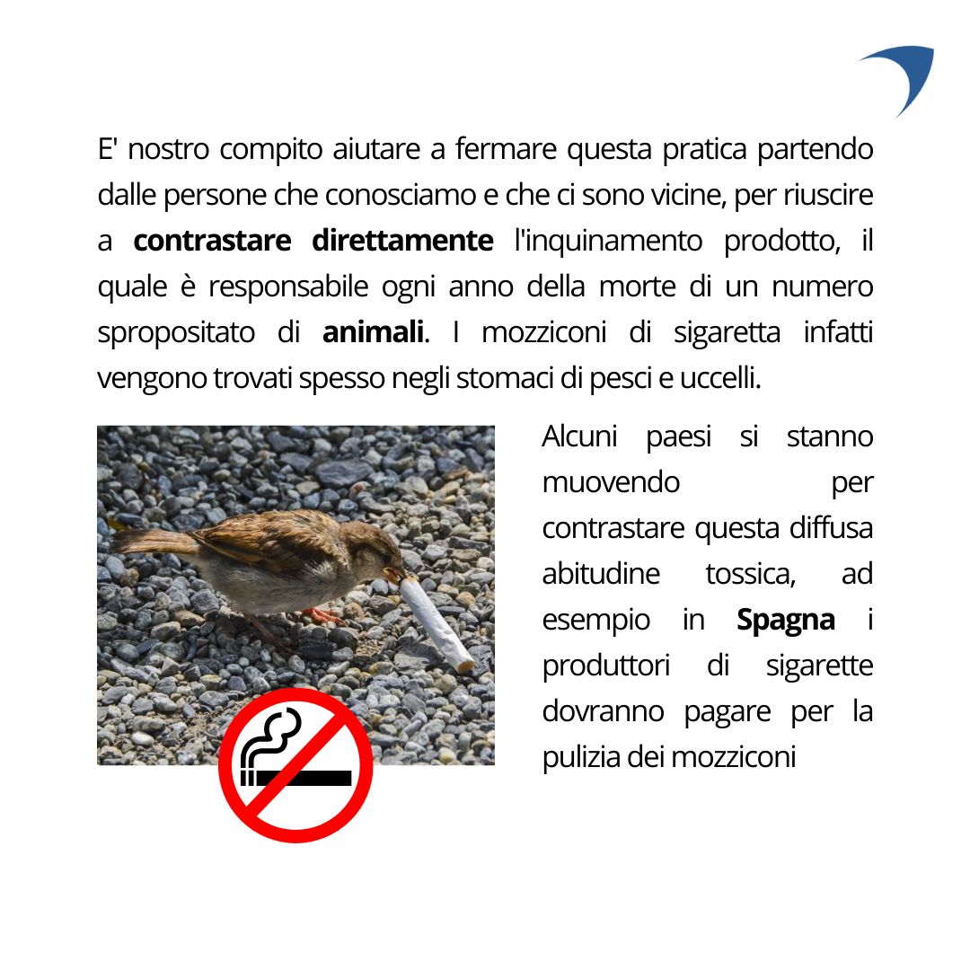 pubbliprogresso's tweet image. #pubblicitaprogresso #ambiente #sigarette #mozziconi #inquinamento #fumatori