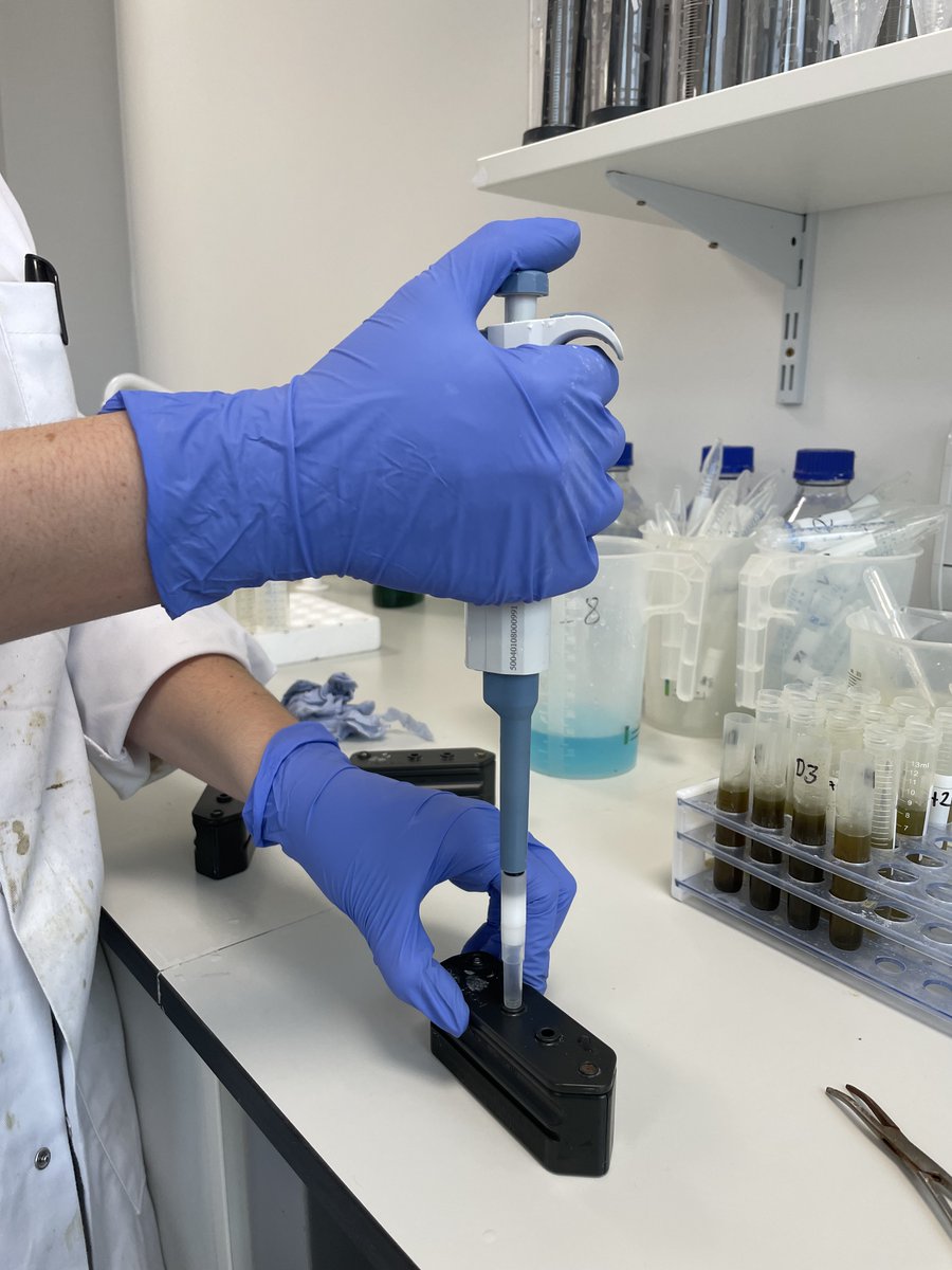 We're now hiring for a Laboratory Technician!!

Join us and work in state-of-the-art laboratory facilities at @AberInnovation in Gogerddan

For details, contact rhian@techion.com
Closing date 12pm on 28 July 2023. 
#diagnostics  #parasites #laboratorywork #laboratorytechnician