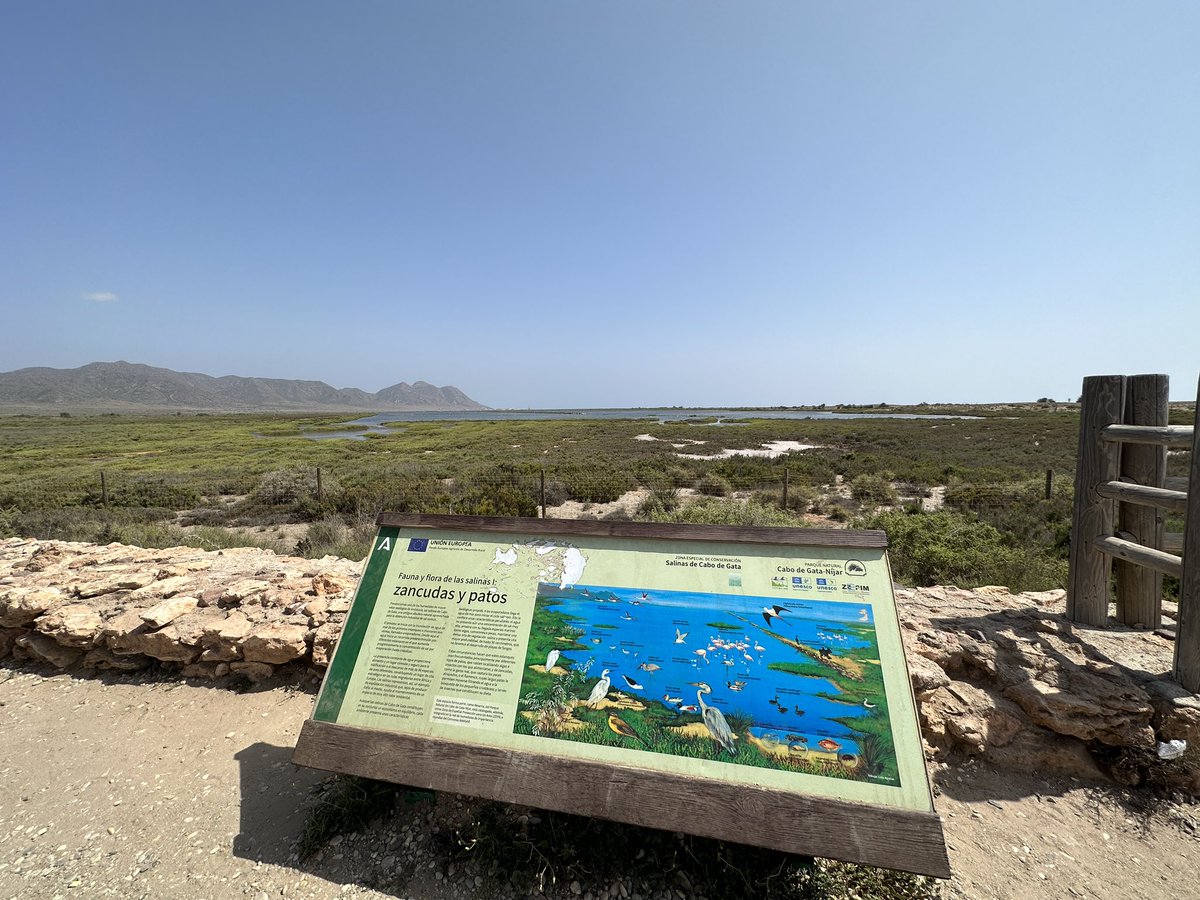 marseron's tweet image. Una maravilla ver las Salinas del #CaboDeGata con agua, vegetación y fauna en julio.
Deberíamos estar destrozados y buscando desesperadamente soluciones por las pérdidas de zonas como #FuenteDePiedra @SalvemosDonana #Damián Son parte de nuestro patrimonio, riqueza e identidad.