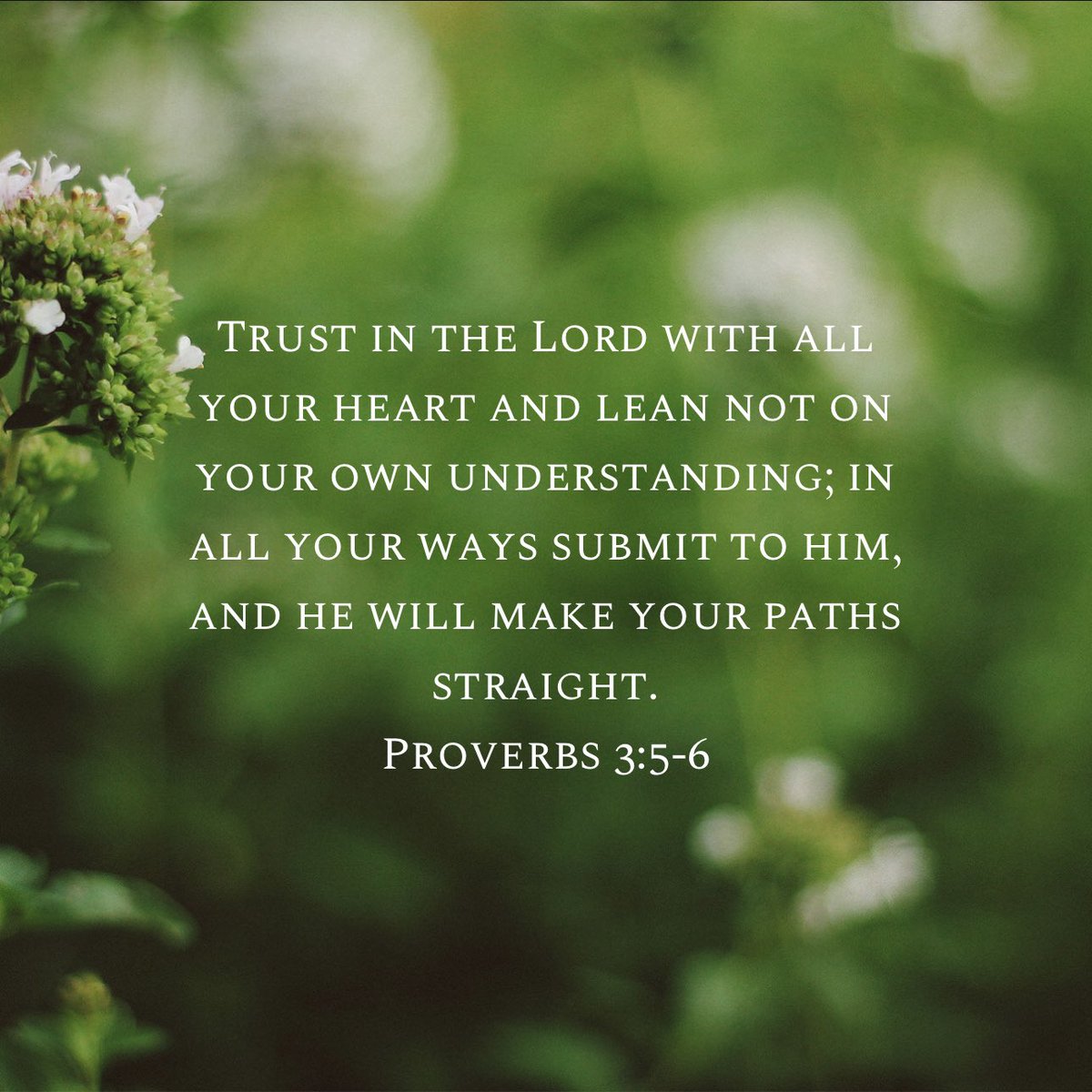 #MorningDevotional🙏🏽📖🙏🏽
#Proverbs 3:5-6
