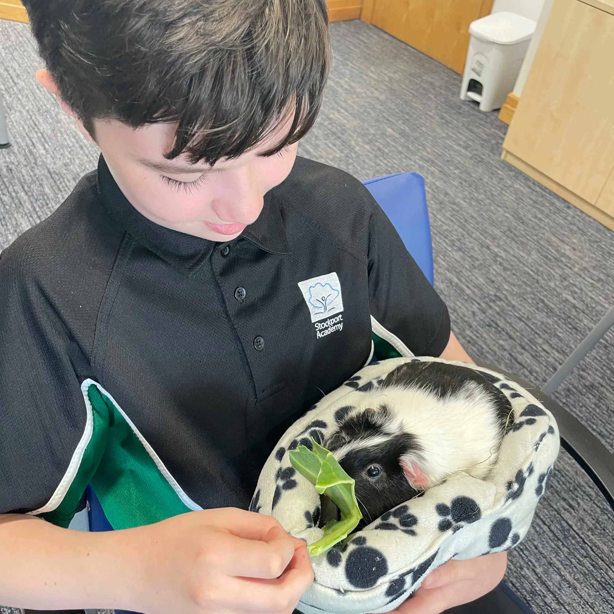 Stockport Academy on Twitter: