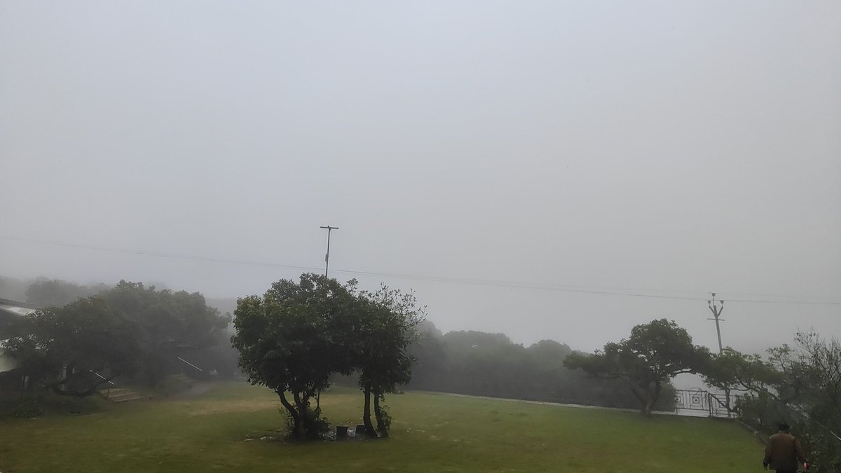sarpotdar_eshan's tweet image. 101° fever and a leaky nose but I got foggy/misty roads, perfect partner and a super start to the weekend. 

Hell, I'm not sitting home. 

#Mahabaleshwar #stayover #Ramsukh