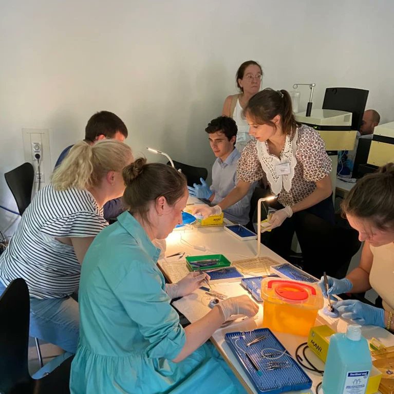 retinologische's tweet photo. Der 53. Wacker-Kurs fรผr klinische Retinologie in Mรผnchen ist gestartet.
#wackerkurs #retinologie #retinologischegesellschaft #augenheilkunde #augenรคrzte #fortbildung #ivom #oct #cme https://t.co/3wUx95MDMr
