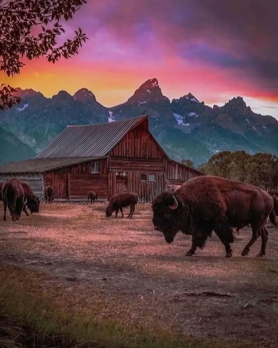 fierytrippers's tweet photo. Beautiful Grand Teton National Park.. 🤩🤩
Have you been..?
#grandtetonnationalpark #grandtetons #mountains #mountainmagic #mountainview #hikingtrails #hikingviews #adventureaddict #travelinspiration #traveldestination #travelawesome #beautifuldestinations #wandergram #exploreusa https://t.co/VgRtD4LPks
