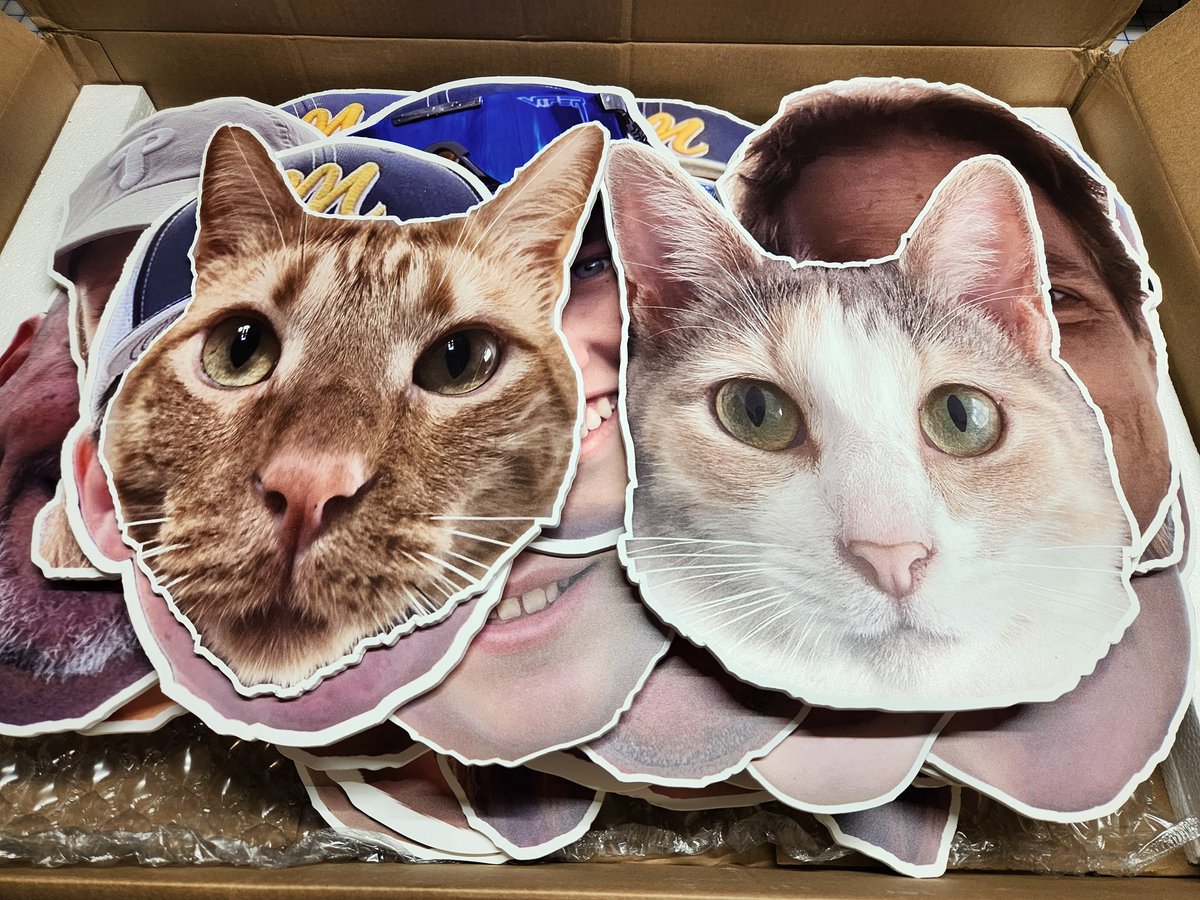 IdentityGraphi1's tweet image. Another round of Custom Big Head Cutouts done on Foamcore! We even do cats :)

 #printshop #vinyl #labels #stickers #identity #signmaker #decals #IGP #lettering #graphics #printing #graphicdesign #signs #bigheads #fathead