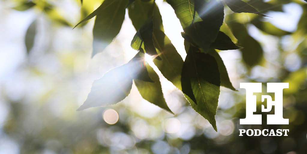 On the podcast | <a href="/Millsatwork/">Selina Mills</a> explores the forces that have affected the lives of blind people through the centuries – from religious ideas and mythical tropes, to Braille and schools for blind children spr.ly/6011POVmx