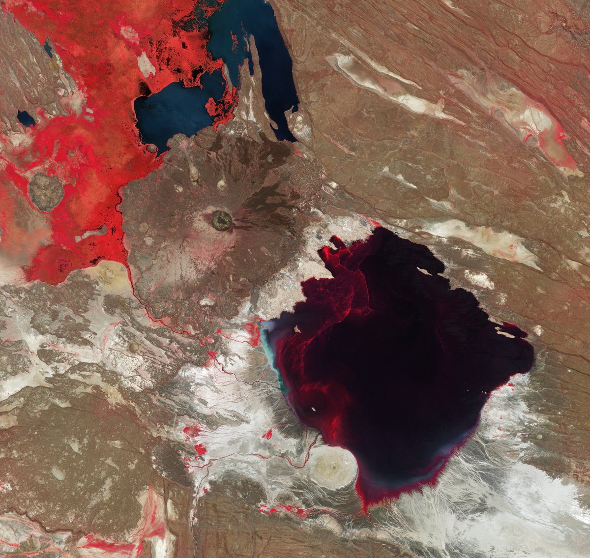 📷 This week's @esa_eo #EarthFromSpace is a <a href="/CopernicusEU/">Copernicus EU</a> #Sentinel2 near-infrared image of Lake Abbe in northeast Ethiopia, showing vegetation in bright red. Mt Dama Ali, a dormant 25 km wide shield volcano is visible to the northwest of the lake. See 👉esa.int/ESA_Multimedia…