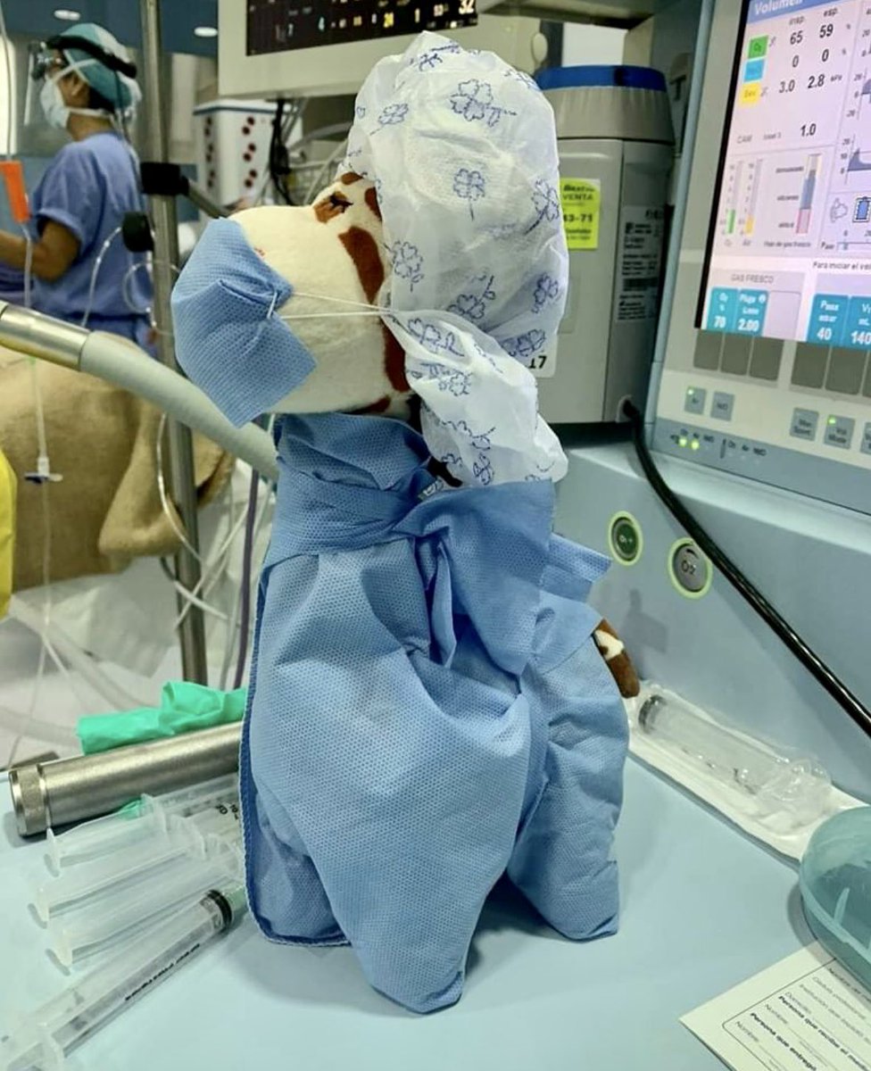 EnfrmraSaturada's tweet photo. Pacientes que llegan a quirófano con su jirafa también preparada para la intervención 🦒🥰 https://t.co/KgsLCvyOPQ
