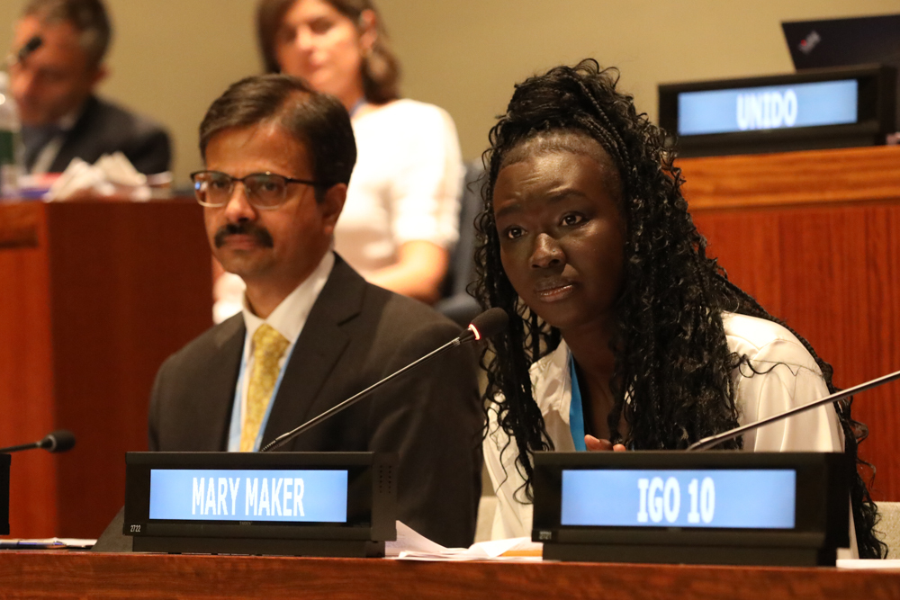 .<a href="/Marymaker_43/">Mary Maker</a> <a href="/Refugees/">UNHCR, the UN Refugee Agency</a> Goodwill Ambassador, passionate in #HLPF2023: “refugees are not a monolith,” expressing hope 2024 HLPF will lift up &amp; center more than 1 voice to represent world’s 110 million displaced. Stressed “we never wanted to be resilient, we were born free.” #SDGs