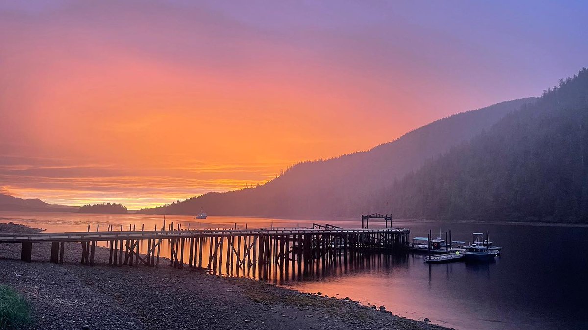 SteamboatBay's tweet photo. 📷 by @peytondownsss: mornings are so beautiful. 4:15am. 🤍
No matter #midnightsun, dawn, day or night, #Alaska delivers! Thanks, Peyton.  
#bucketlist #fishinginAlaska #escapethedailygrind #luxuryfishinglodge #luxurylodge #alaskafishing ##steamboatbayfishing #luxuryAlaskalodge https://t.co/nQbG3IUBPK
