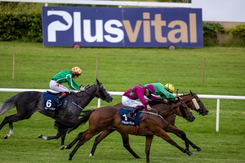 Catch up on the action from the 4th meeting of the @LeopardstownRC Summer Series. Congratulations to Tom Mc Court, Jarlath Fahey & Michael O’Callaghan finishing in the Top 3 of the Plusvital Supplements Handicap plusvital.com/rampage-takes-…