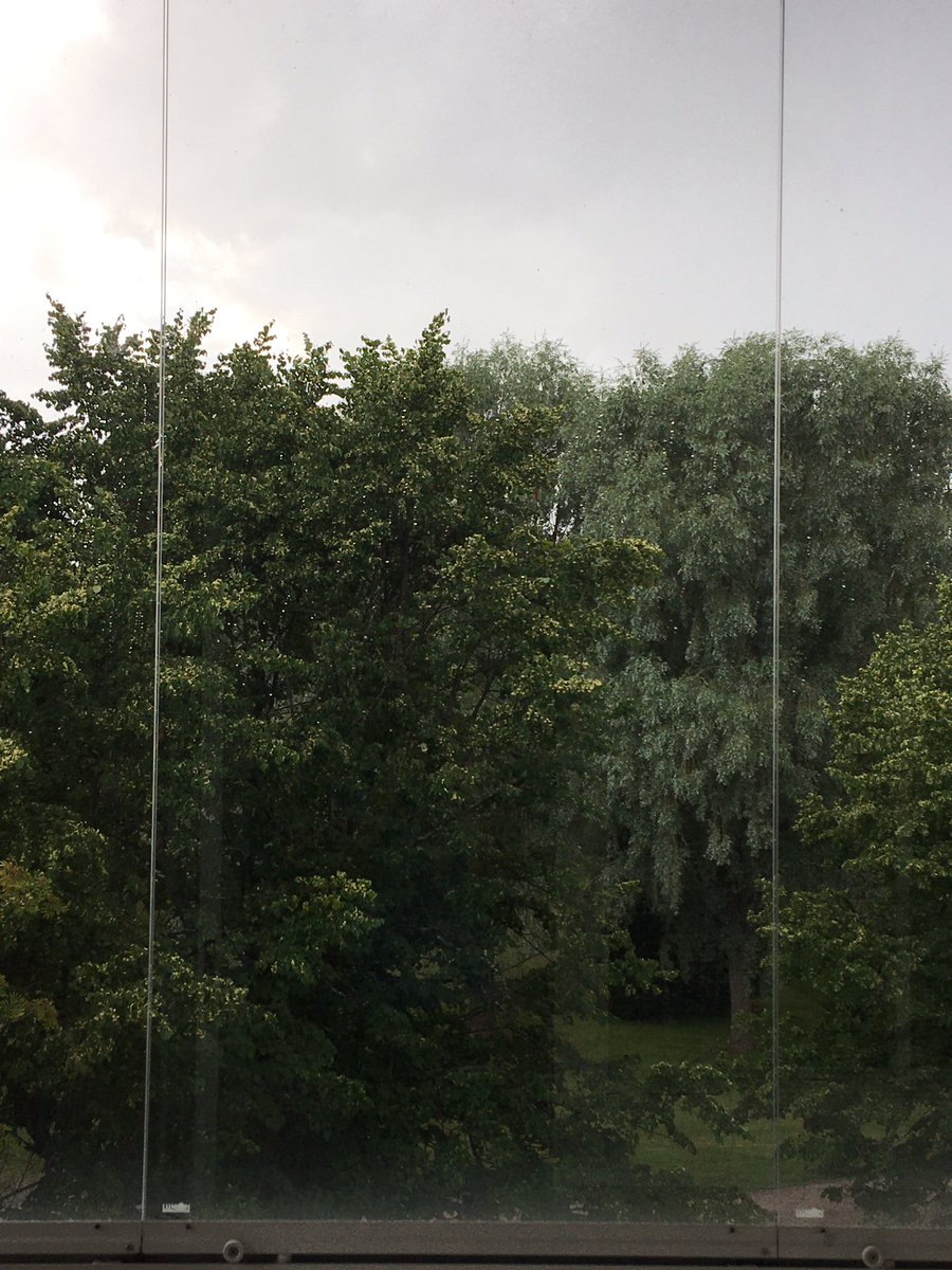 hvac_jamo's tweet photo. Näyttää siltä, että myrsky olisi nousussa… Pitäisikö rakentaa Noan arkin tapainen menopeli? jos kysyä saa. #myrsky #nousee #noan #arkki #tapainen #menopeli https://t.co/UFA25fsP2i