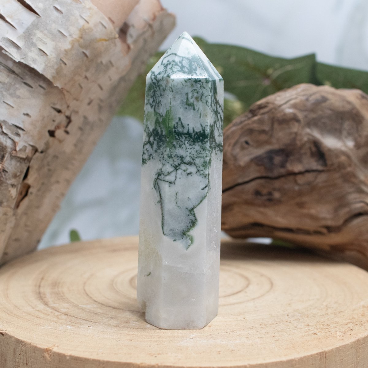 CanadasRockShop's tweet image. Tree Agate is a captivating stone that intertwines with your spirit, harmonizing your being with the wisdom of nature and imbuing you with grounding energy. This stone of peace will also guide you to ethereal realm connections! ✨ 

#TreeAgate #CrystalCommunity #NatureWisdom