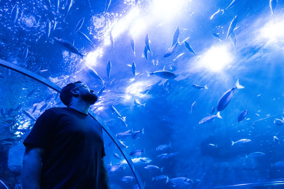 bculinary's tweet image. 🤝✨ ESENCIA - Celebramos la VIII. edición del día de empresas de #BCC, una jornada con la que buscamos crear un espacio donde compartir y propiciar networking entre las empresas colaboradoras. ¡Gracias! 👏 #mybculinary #empresasBCC