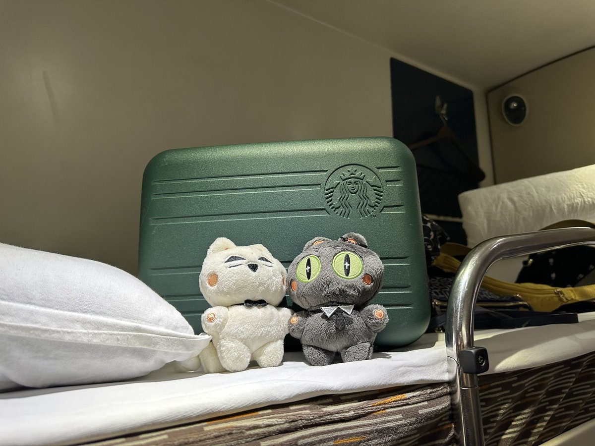 KERRYQU420's tweet photo. 带着耶耶喵喵的又一场旅行，目的地哈尔滨～
有年头儿没坐过卧铺了，总感觉比我记忆中的窄了好多。。。🙃🙃

#MileApo #มายอาโป https://t.co/3sBwz6jsKH