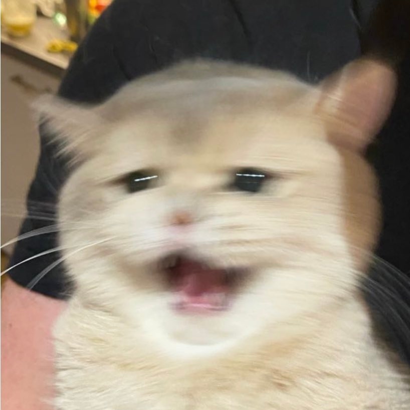 blob_izzy's tweet photo. @SolidarityCoUK @MrBeast BIG MAN NORMAN 🧡 https://t.co/F9MIXjVZI9