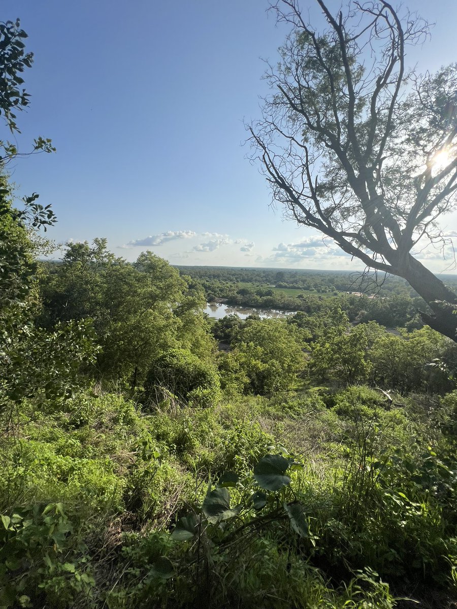 WordisBondPDX's tweet photo. Ambassadors embarked on an elephant nature hike in Mole National Park in Northern Ghana, home to 800 wild elephants!

Ambassadors got to see several herds up close on our hike, swim &amp; relax &amp; the park hotel pool, &amp; participate in several service projects.

🐘🇬🇭👑
#WordisBondPDX https://t.co/zeMqzAzB4h