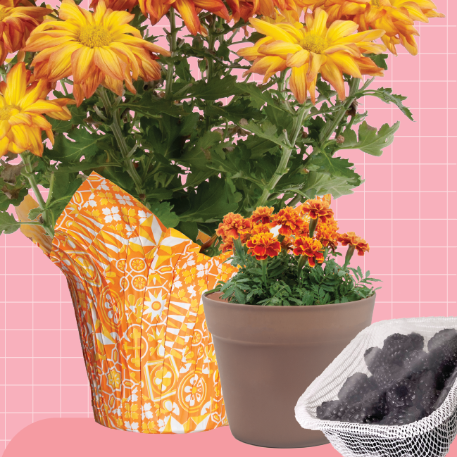 aroocompany's tweet photo. We're excited to see you at Cultivate in Columbus, OH! Check us out at booths #2425 &amp; #2437

We have lots of great things to show this year, so be sure to come check it out! https://t.co/h8imt06kgc