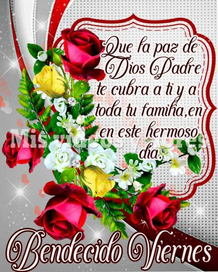 Guadalupe Garcia (@guadalugar07) on Twitter photo 